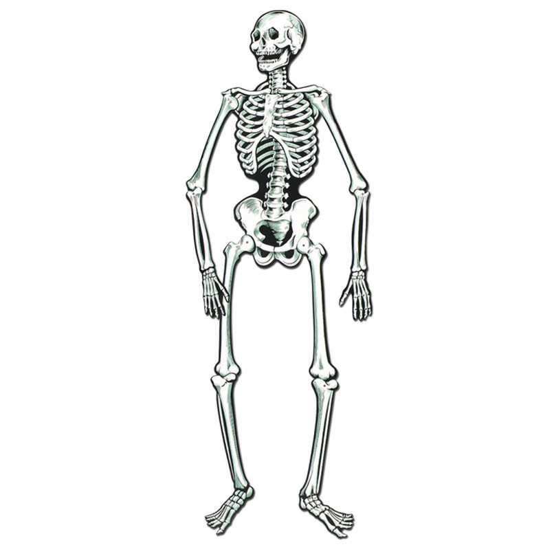 Printed One Side  - Halloween Jointed Skeletons