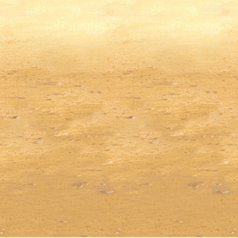 Themed Backdrops - Western Desert Sand Backdrop