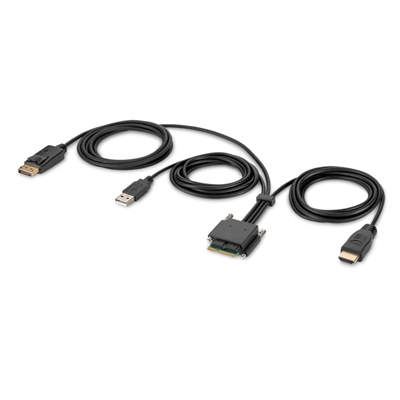 HDMI and DP Dual Head Host Cbl