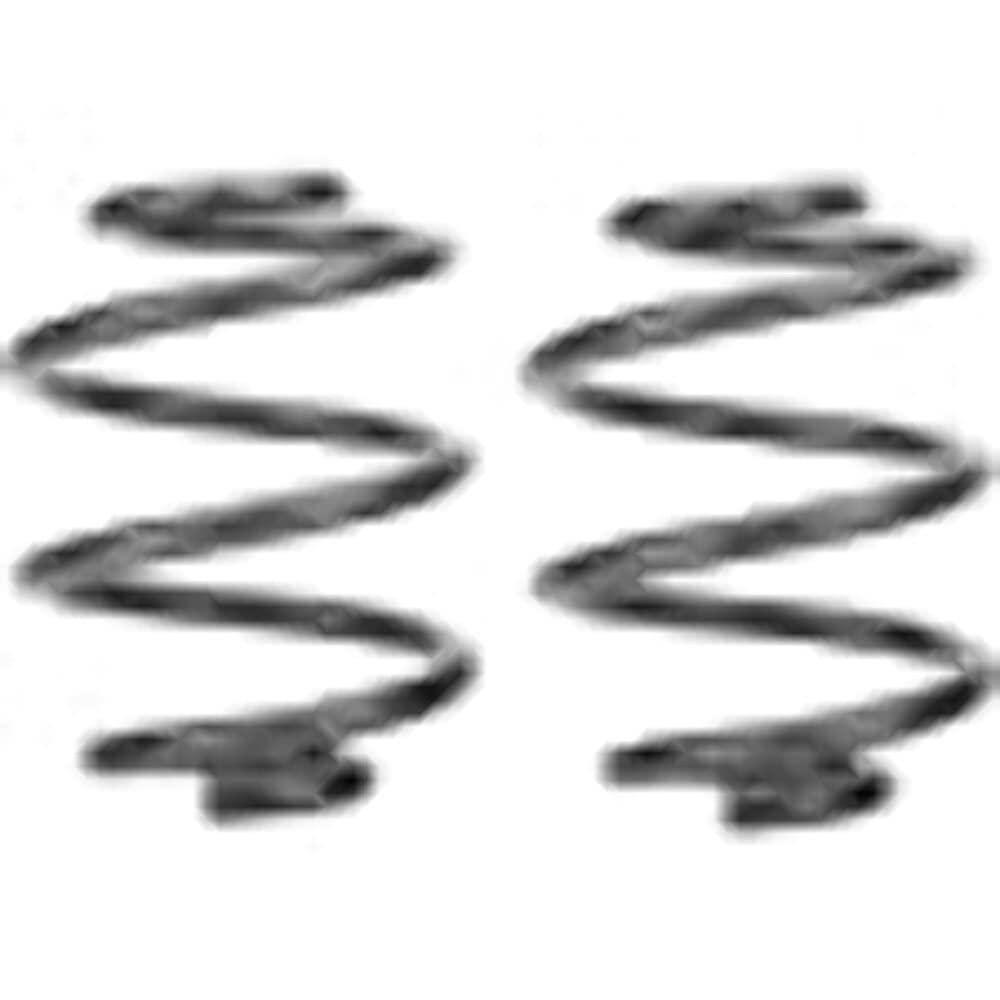 6372 CHEVROLET C10 COIL SPRING SET