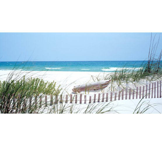 Biggies Wall Mural - Southeast Coast - Large