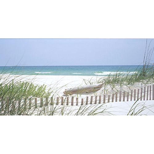 Biggies Wall Mural - Southeast Coast - Extra Large