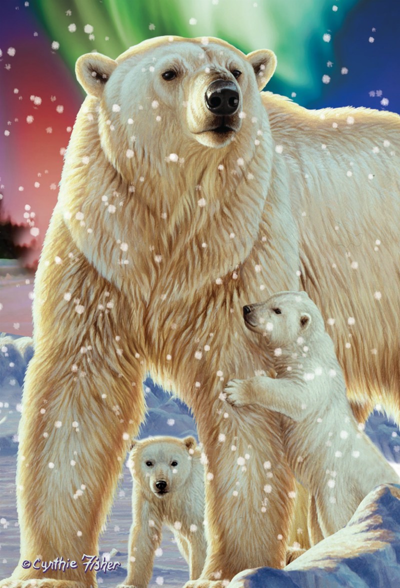 Animal - 3D Postcard - Polar Bear