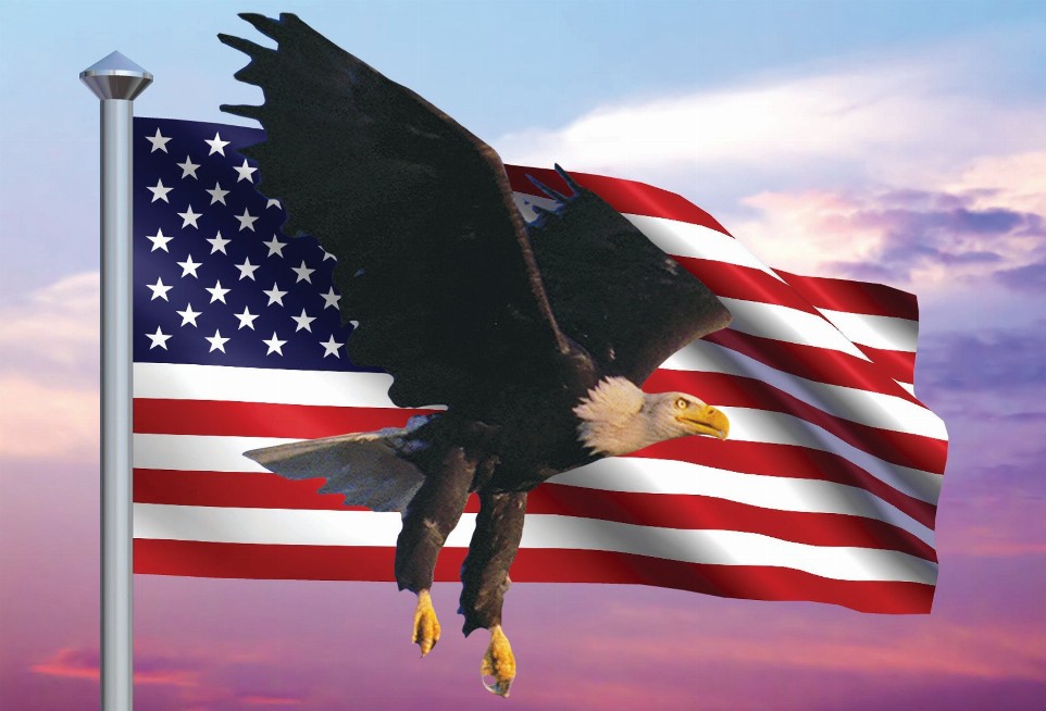 Animal - Motion Postcard - Eagle Flag