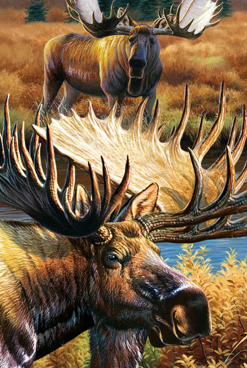 Animal Art - 3D Magnet - Moose