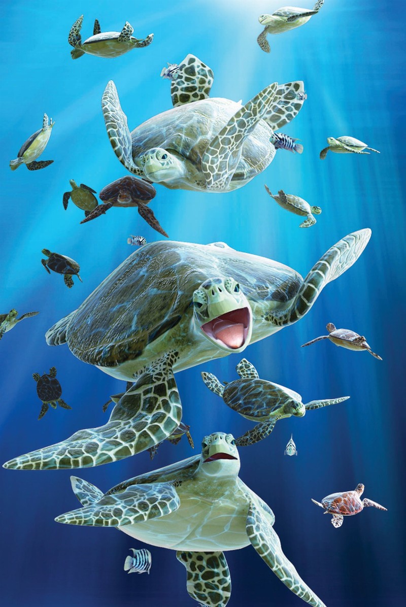 Animal Art - 3D Magnet - Sea Turtles