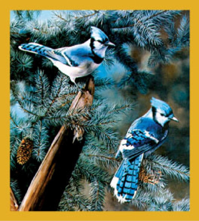 Bird Art - Magnetic Bookmark - Blue Jays