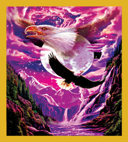 Bird Art - Magnetic Bookmark - Eagle Spirit