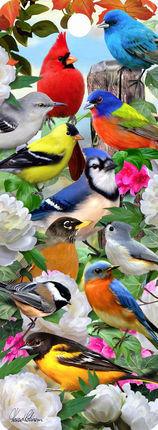 Birds for All Seasons - 3D Bookmark