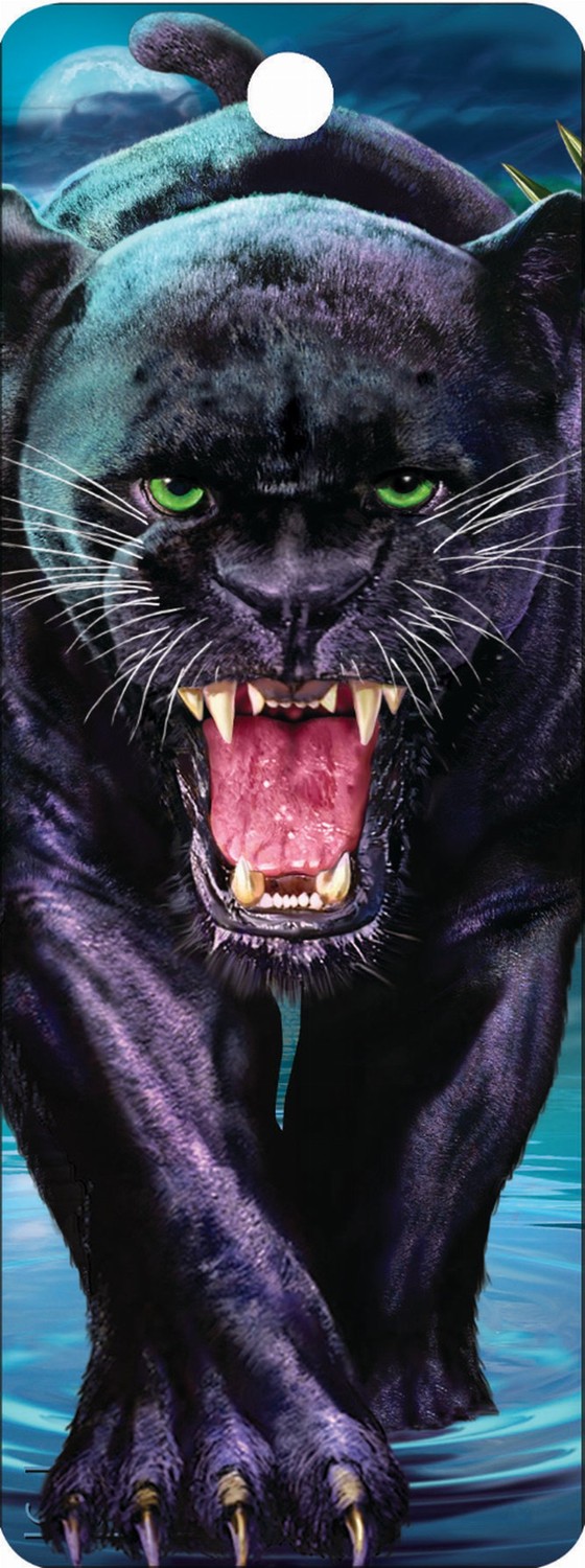 Black Jaguar - Motion Bookmark