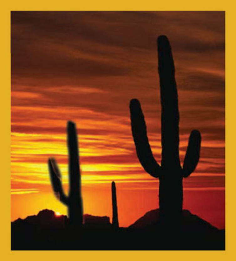 Cactus with Sunset - Magnetic Bookmark