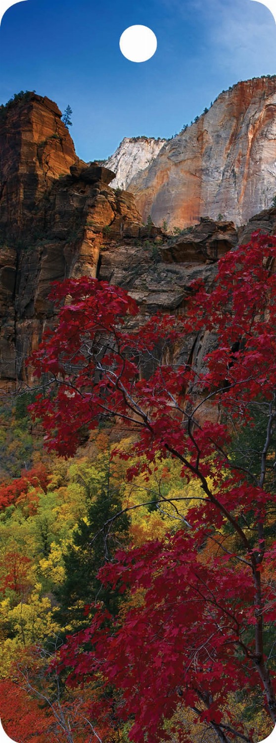 Canyon - 3D Bookmark