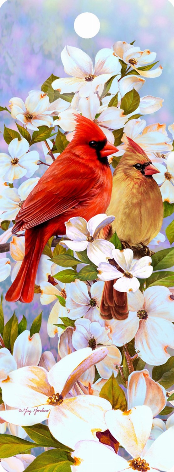 Cardinal Love - 3D Bookmark