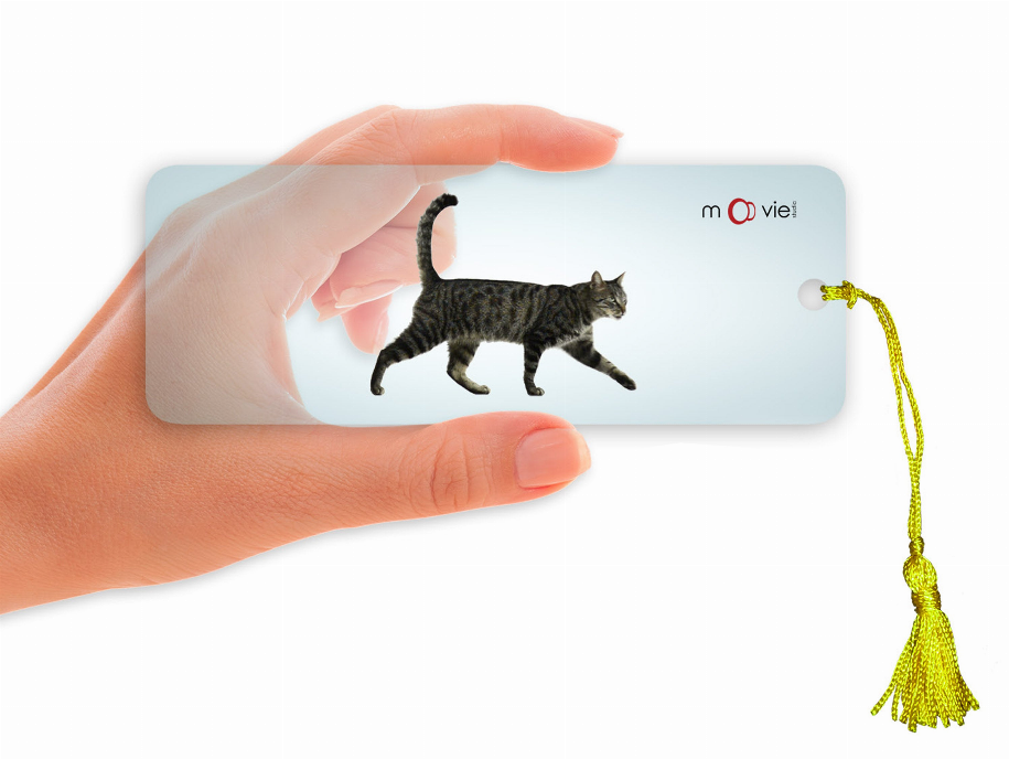 Cat Walking- Clear Motion Bookmark