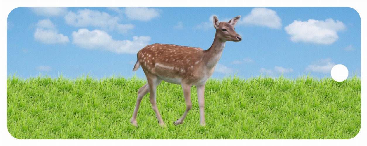 Deer - Motion Bookmark