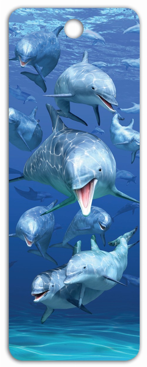 Dolphin School - 3D Bookmark