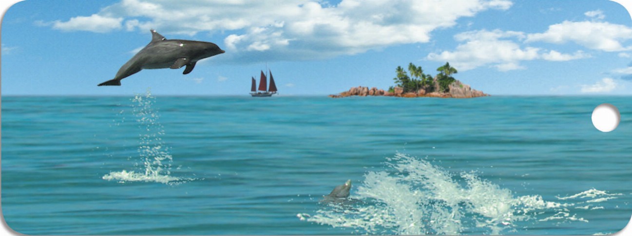 Dolphins Jumping - Motion Bookmark