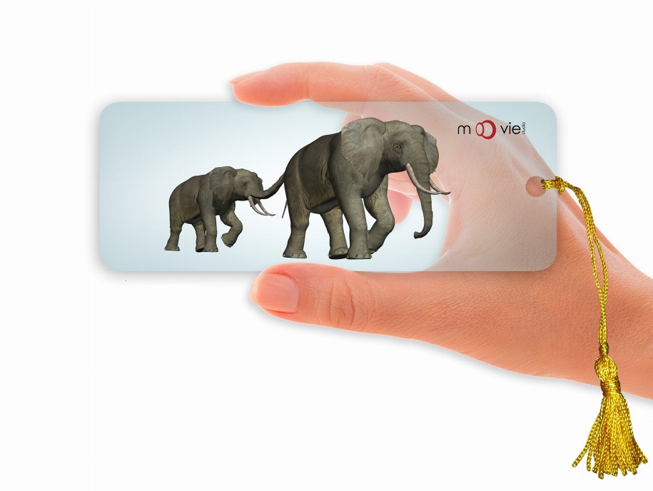 Elephants- Clear Motion Bookmark