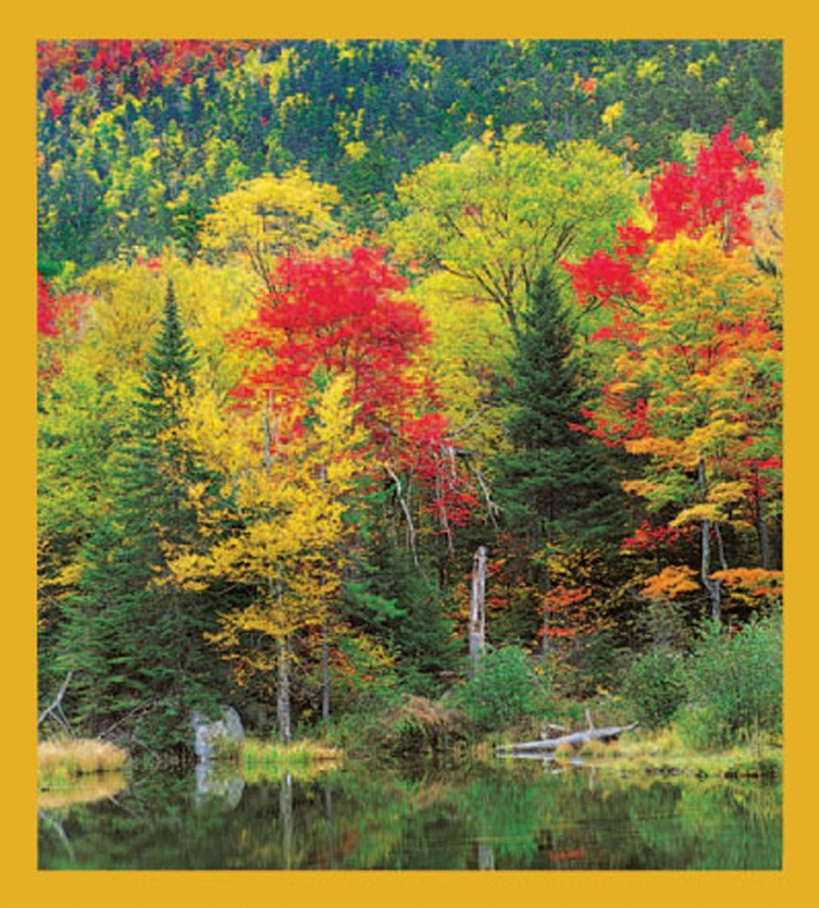Fall At The Lake - Magnetic Bookmark