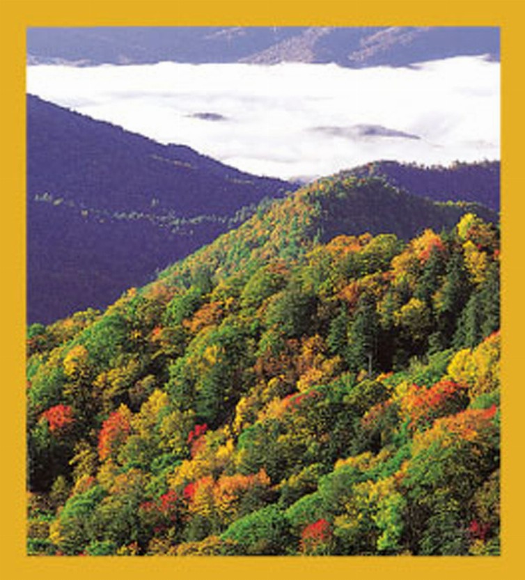 Fall in the Mountains - Magnetic Bookmark