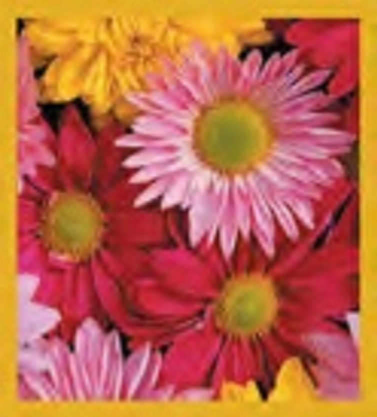 Flower Art - Magnetic Bookmark - Multicolored Daisies
