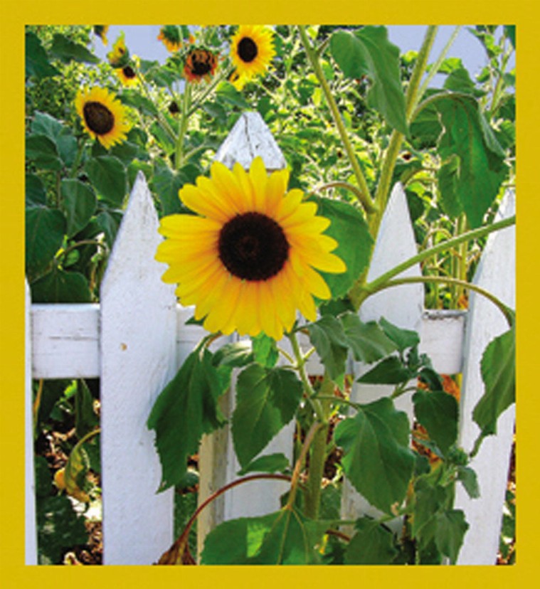 Flower Art - Magnetic Bookmark - Happy Sunflowers