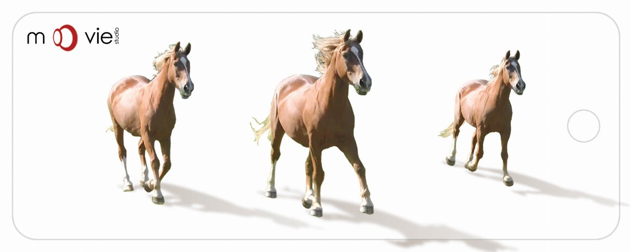 Horses - Clear Motion Bookmark
