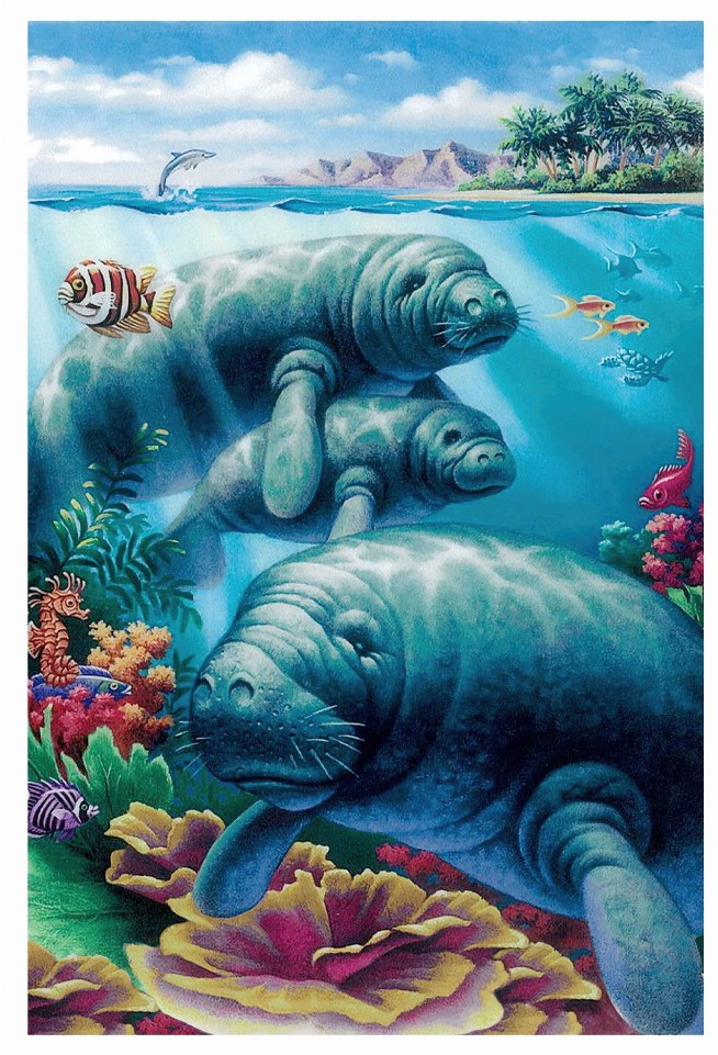 Manatees - 3D Postcard