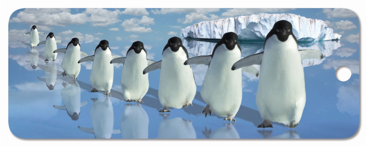 Marching Penguins - Motion Bookmark