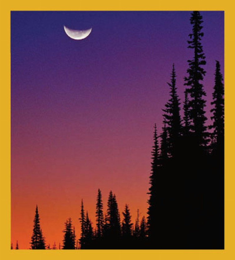Moon Over Forest - Magnetic Bookmark