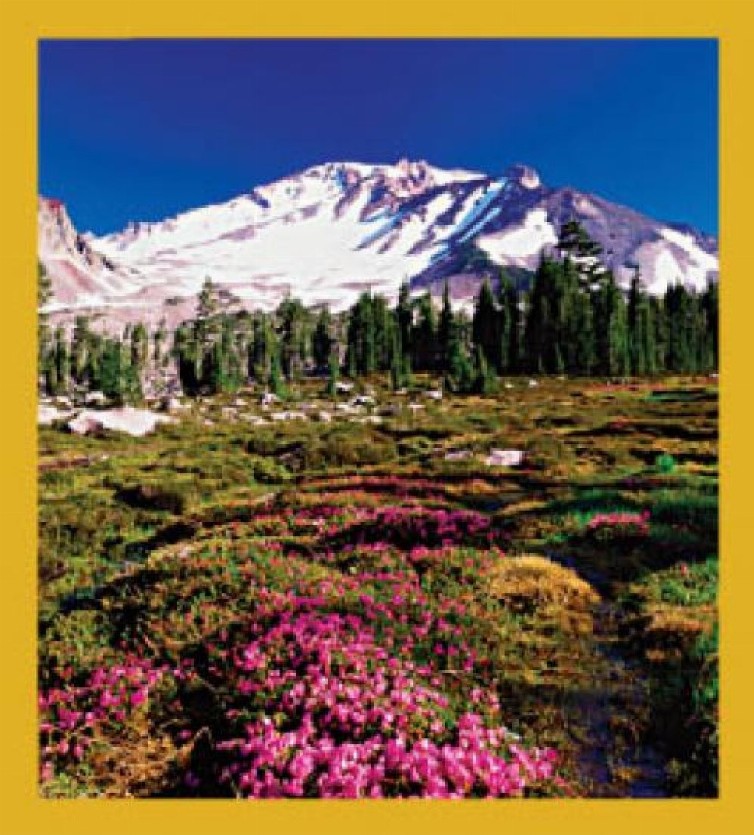 Mount Shasta, CA - Magnetic Bookmark
