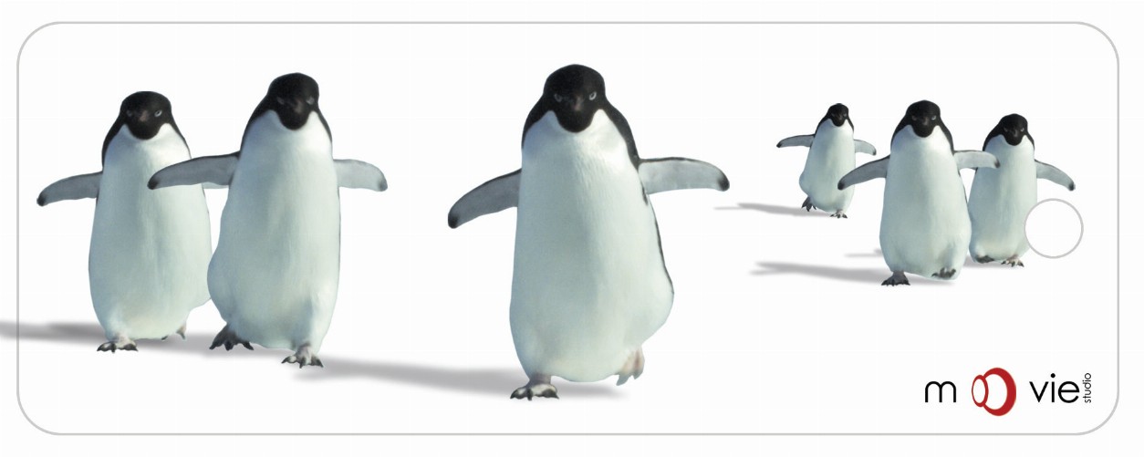 Penguins - Clear Motion Bookmark