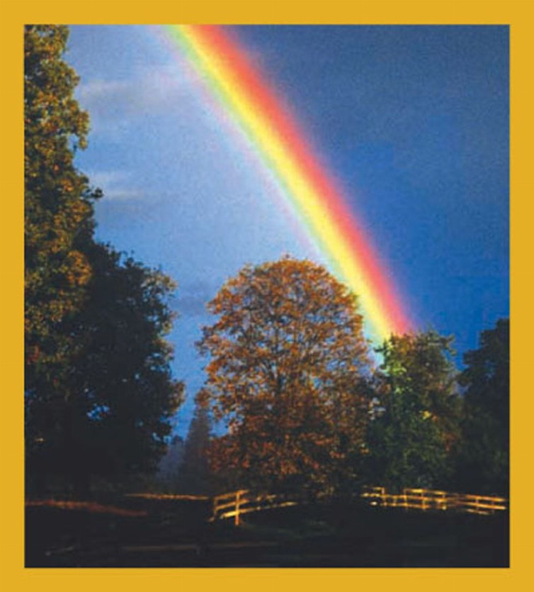 Rainbow - Magnetic Bookmark