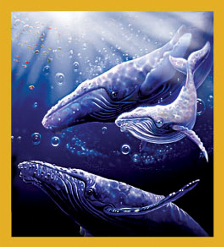 Sea Life - Magnetic Bookmark - Whale Dive
