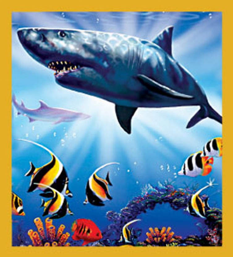 Sea Life - Magnetic Bookmark - Shark Territory