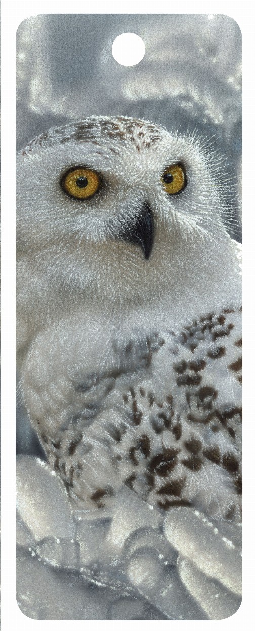 Snow Owl - 3D Bookmark