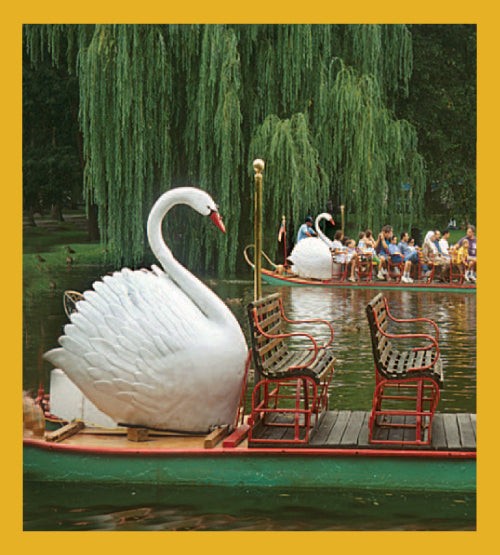 Swan Boats - Magnetic Bookmark