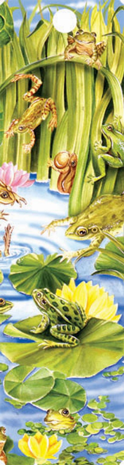 Tassel Bookmark - Frog Pond
