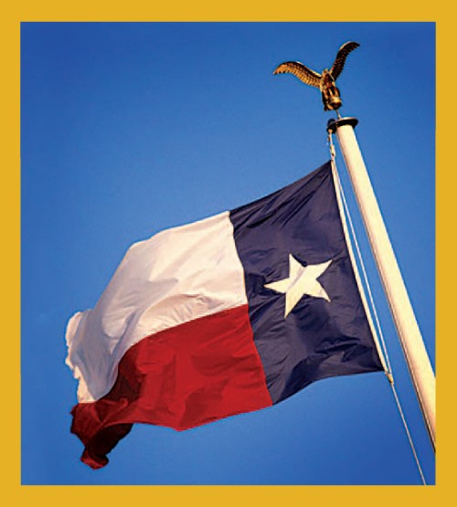 Texas Flag - Magnetic Bookmark