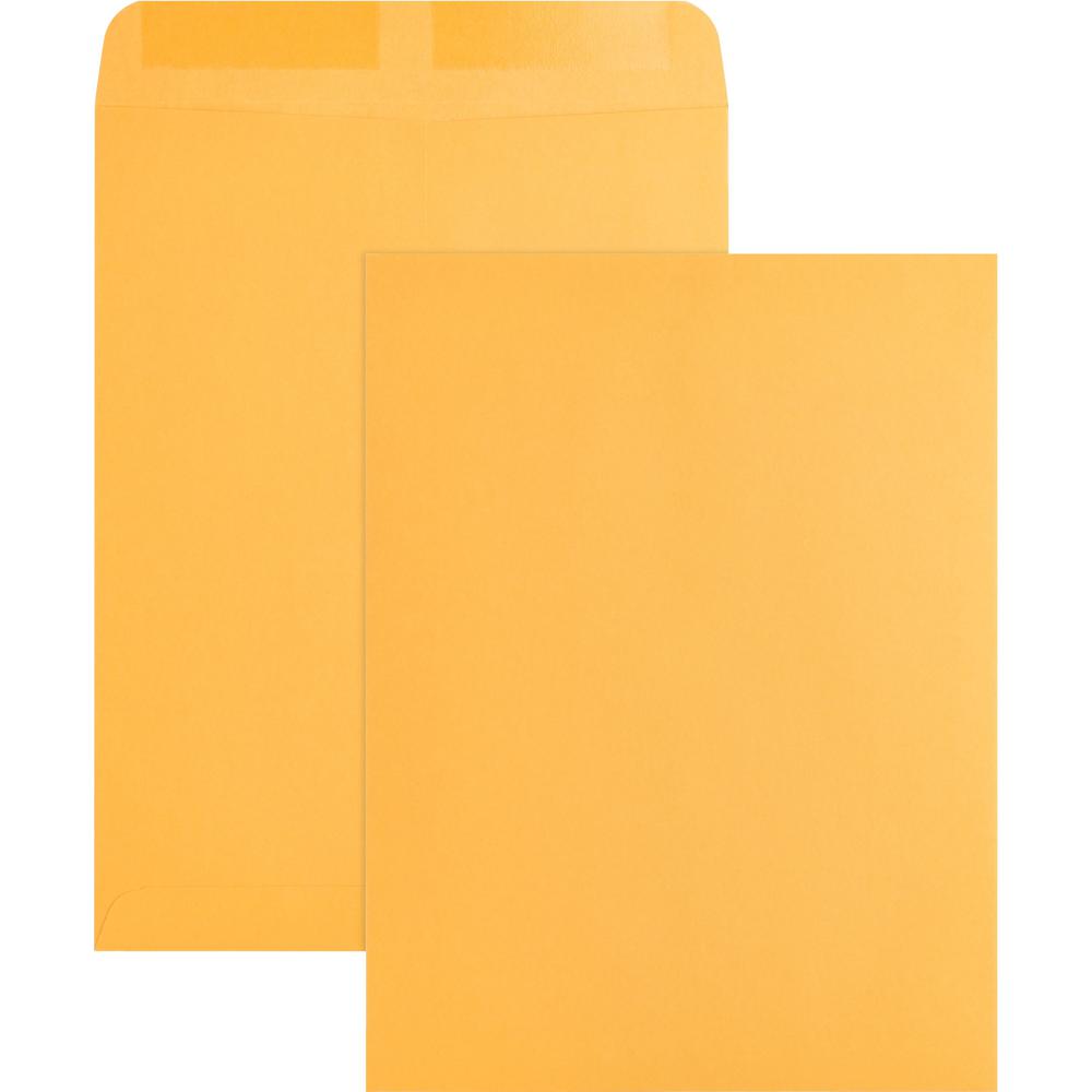 Business Source Kraft Gummed Catalog Envelopes - Catalog - #10 1/2 - 9" Width x 12" Length - 28 lb - Gummed - Kraft - 250 / Box 