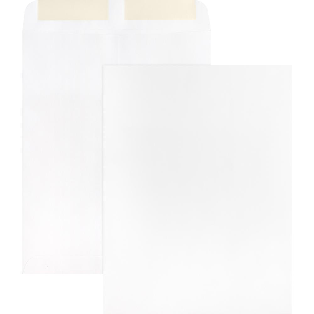 Business Source 28 lb. White Catalog Envelopes - Catalog - #10 1/2 - 9" Width x 12" Length - 28 lb - Gummed - Wove - 250 / Box -