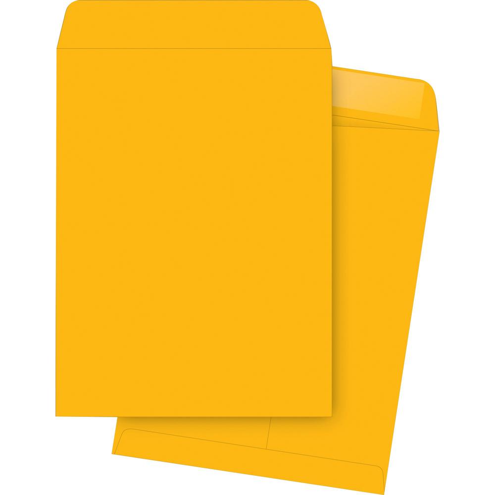 Business Source Durable Kraft Catalog Envelopes - Document - #10 1/2 - 9" Width x 12" Length - 24 lb - Gummed - Kraft - 250 / Bo