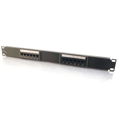 12 Prt Cat5E 110 Ptch Panel