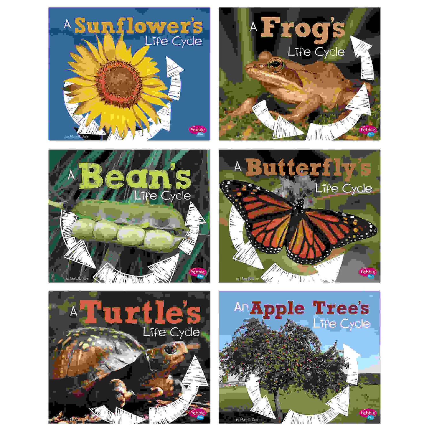 Explore Life Cycles, Set of 6 books