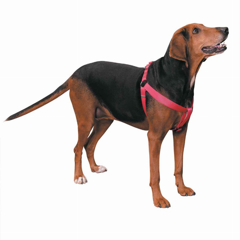 CC Nylon 2 Step Harness 15-25in Pink