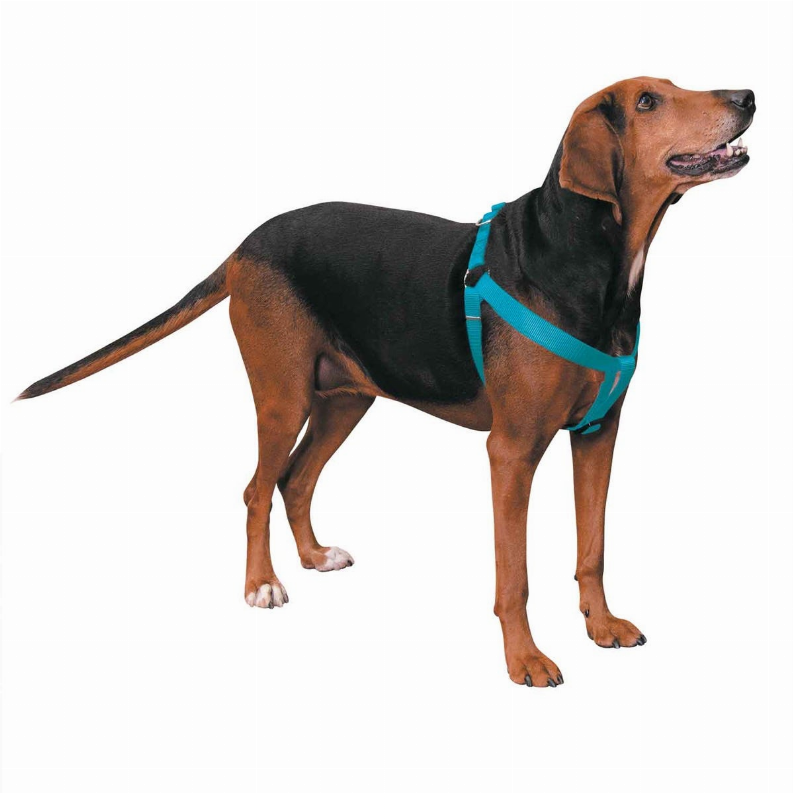 CC Nylon 2 Step Harness 9-15in Turqouise