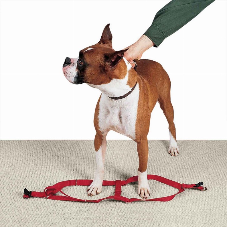 CC Nylon 2 Step Harness 9-15in Red
