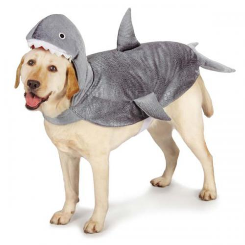 CC Shark Costume 