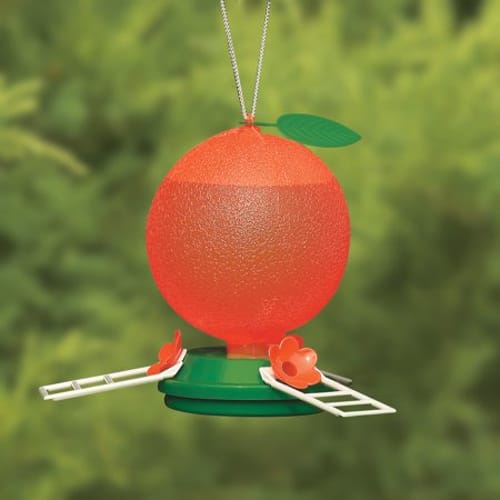 Cherry Valley Feeders 40 oz Orange Oriole Feeder