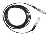 10GBASE CU SFP Cable 1 Meter